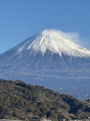 今年もよろしくお願いします。